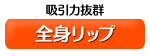 全身リップ